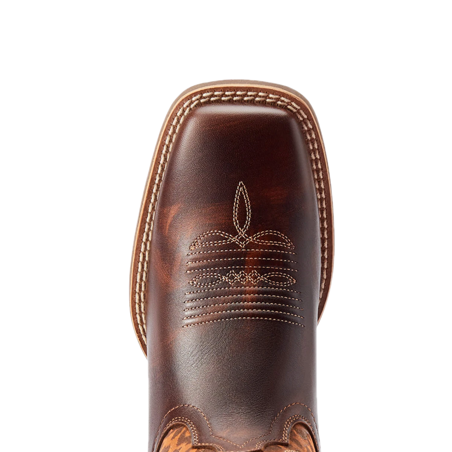 Ariat® Ladies Pinto VentTEK™ 360° Gilded Leopard Brown Boots 10044506 4 Ariat® Ladies Pinto VentTEK™ 360° Gilded Leopard Brown Boots 10044506 - Image 2